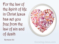 The Law of Love - Growing In Grace (27)